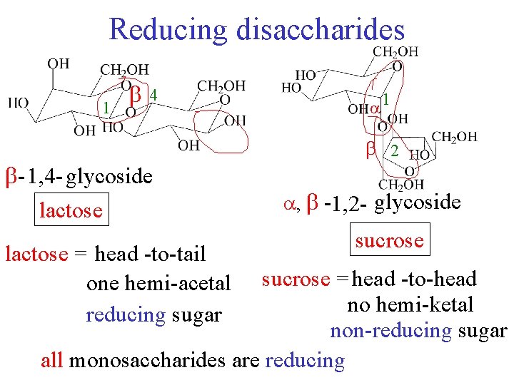 Reducing disaccharides 1 4 1 2 - 1, 4 - glycoside lactose = head