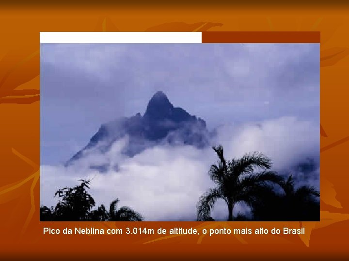 Pico da Neblina com 3. 014 m de altitude, o ponto mais alto do