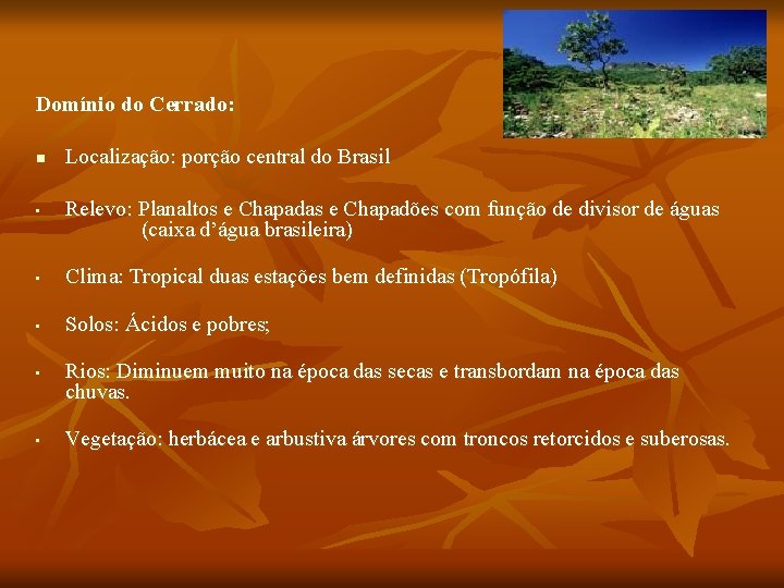 Domínio do Cerrado: n • Localização: porção central do Brasil Relevo: Planaltos e Chapadas