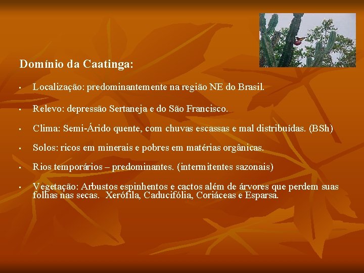 Domínio da Caatinga: • Localização: predominantemente na região NE do Brasil. • Relevo: depressão