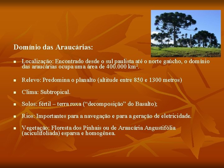 Domínio das Araucárias: n Localização: Encontrado desde o sul paulista até o norte gaúcho,