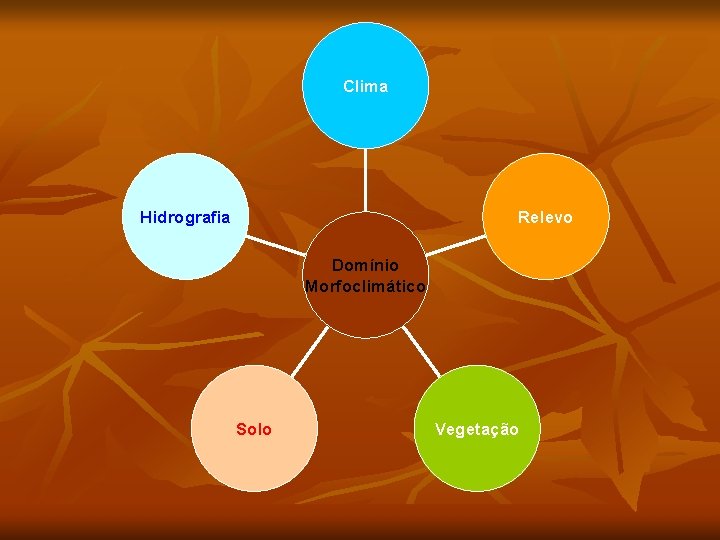 Clima Hidrografia Relevo Domínio Morfoclimático Solo Vegetação 
