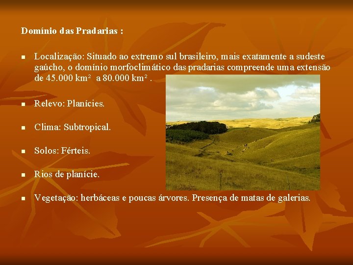 Domínio das Pradarias : n Localização: Situado ao extremo sul brasileiro, mais exatamente a