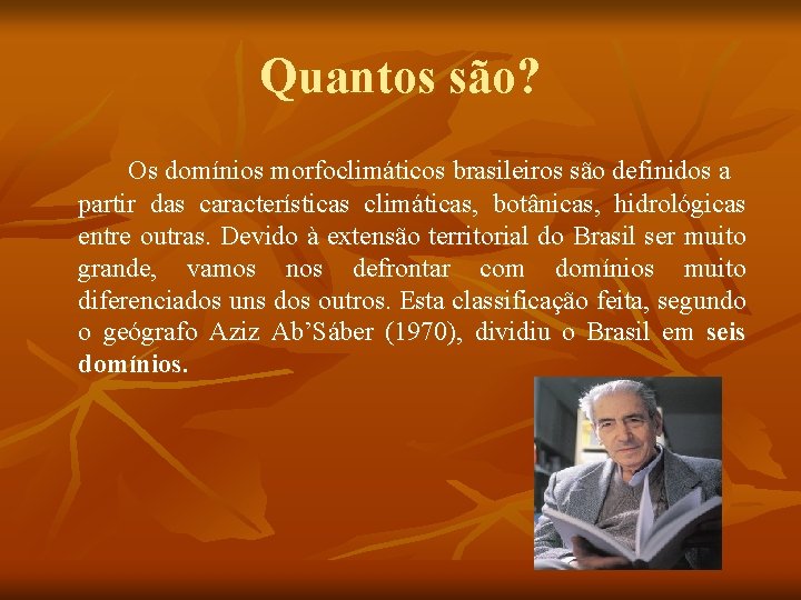 Quantos são? Os domínios morfoclimáticos brasileiros são definidos a partir das características climáticas, botânicas,