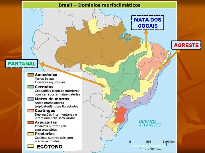 MATA DOS COCAIS AGRESTE PANTANAL ECÓTONO 