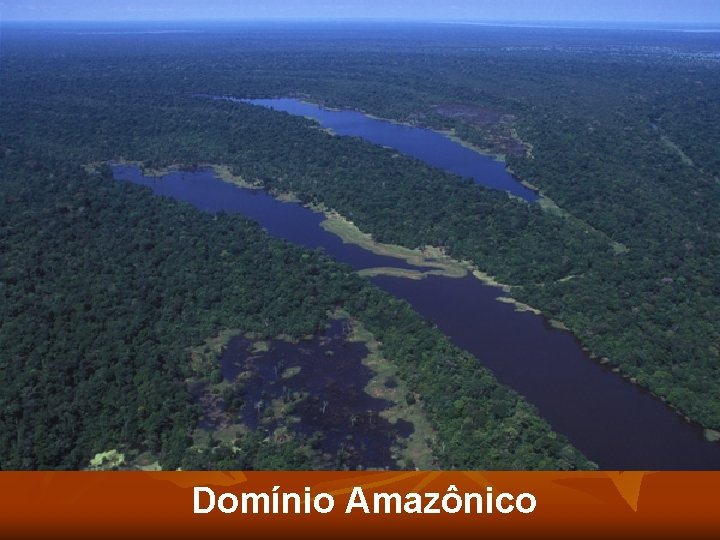 Domínio Amazônico 