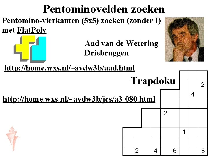 Pentominovelden zoeken Pentomino-vierkanten (5 x 5) zoeken (zonder I) met Flat. Poly Aad van