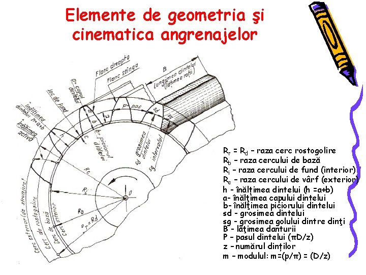 Elemente de geometria şi cinematica angrenajelor Rr = Rd – raza cerc rostogolire Rb