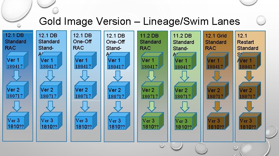 Gold Image Version – Lineage/Swim Lanes 12. 1 DB Standard RAC 12. 1 DB