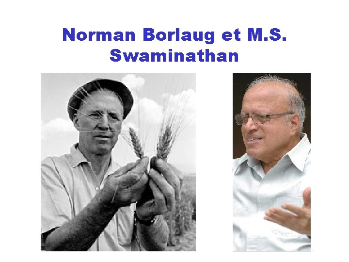 Norman Borlaug et M. S. Swaminathan 