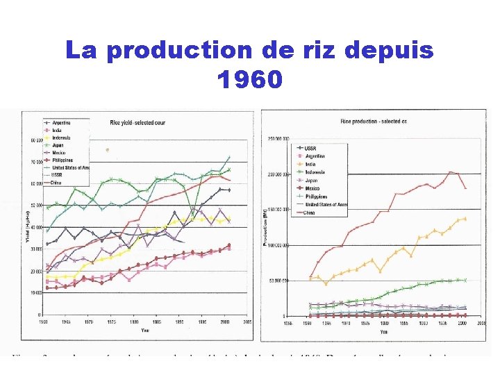 La production de riz depuis 1960 