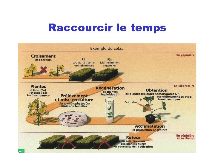 Raccourcir le temps 