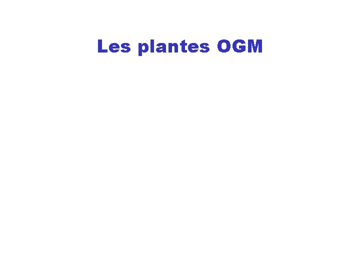 Les plantes OGM 