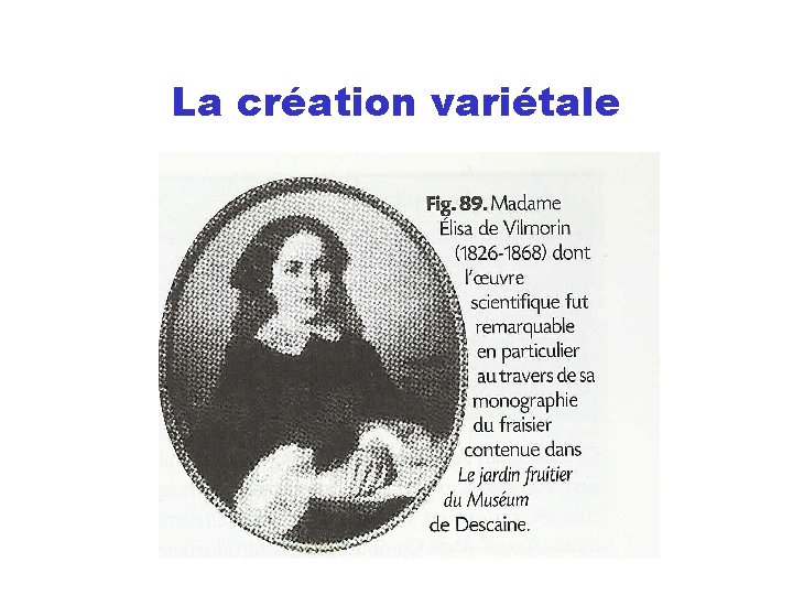 La création variétale 