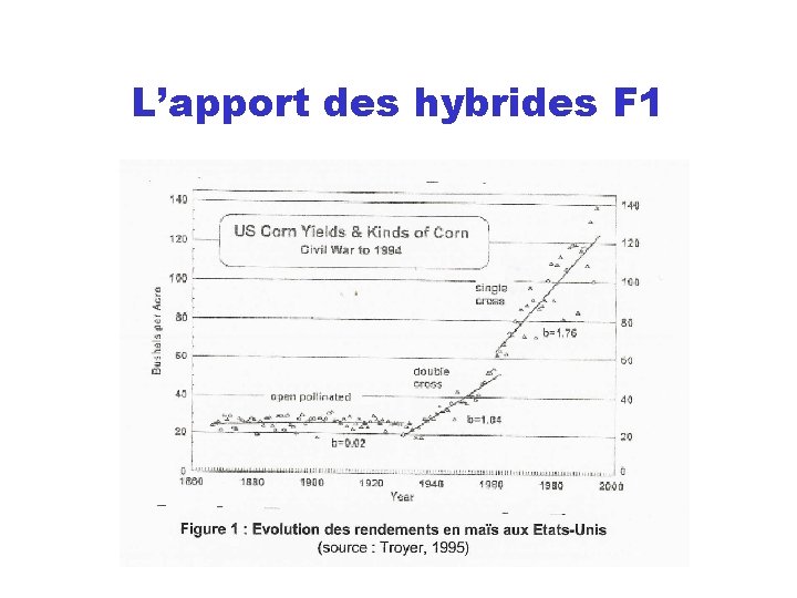 L’apport des hybrides F 1 