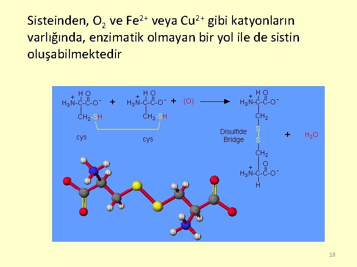 Sisteinden, O 2 ve Fe 2+ veya Cu 2+ gibi katyonların varlığında, enzimatik olmayan