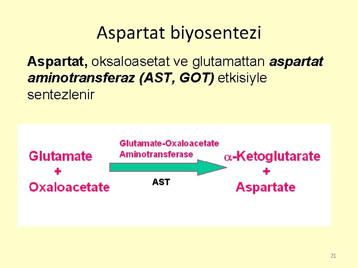 Aspartat biyosentezi Aspartat, oksaloasetat ve glutamattan aspartat aminotransferaz (AST, GOT) etkisiyle sentezlenir AST 21