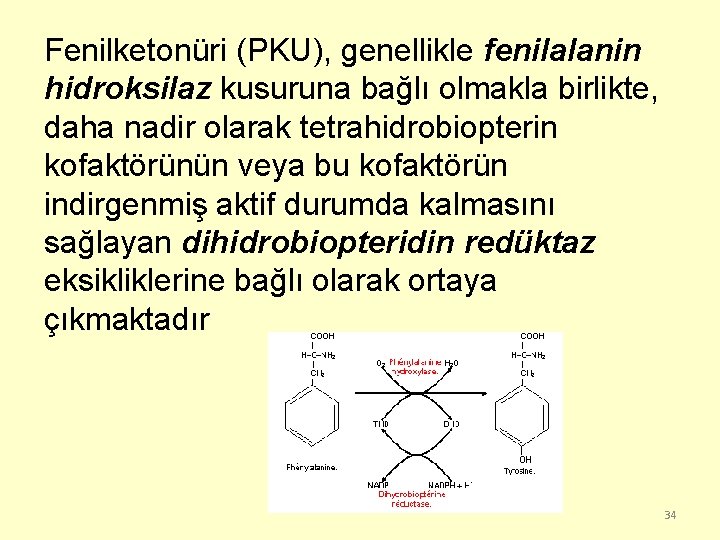 Fenilketonüri (PKU), genellikle fenilalanin hidroksilaz kusuruna bağlı olmakla birlikte, daha nadir olarak tetrahidrobiopterin kofaktörünün