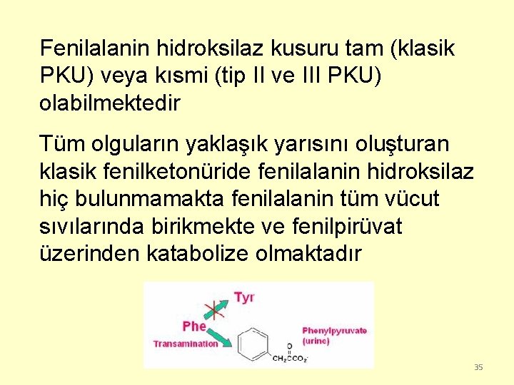 Fenilalanin hidroksilaz kusuru tam (klasik PKU) veya kısmi (tip II ve III PKU) olabilmektedir