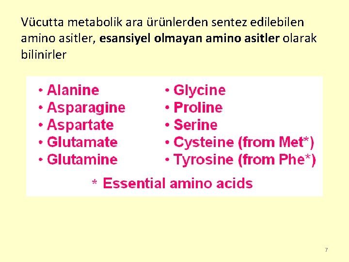 Vücutta metabolik ara ürünlerden sentez edilebilen amino asitler, esansiyel olmayan amino asitler olarak bilinirler