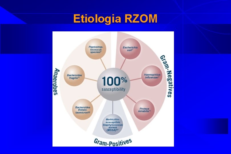 Etiologia RZOM 