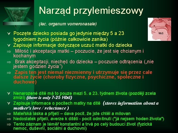 Narząd przylemieszowy (łac. organum vomeronasale) Ú Poczęte dziecko posiada go jedynie między 5 a