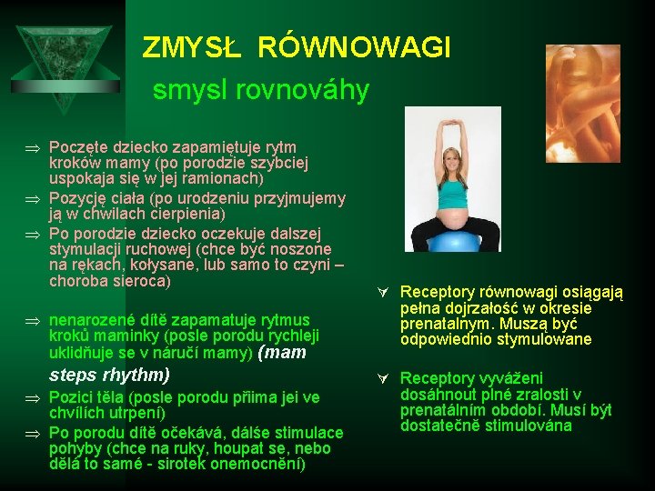 ZMYSŁ RÓWNOWAGI smysl rovnováhy Þ Poczęte dziecko zapamiętuje rytm kroków mamy (po porodzie szybciej