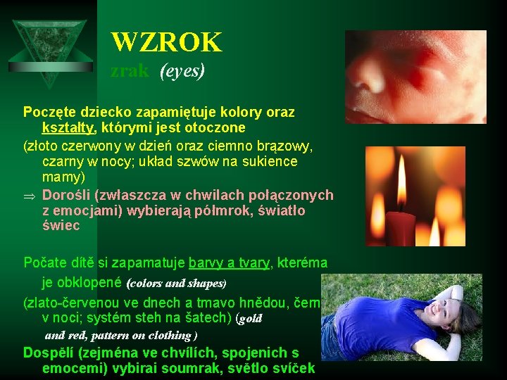 WZROK zrak (eyes) Poczęte dziecko zapamiętuje kolory oraz kształty, którymi jest otoczone (złoto czerwony