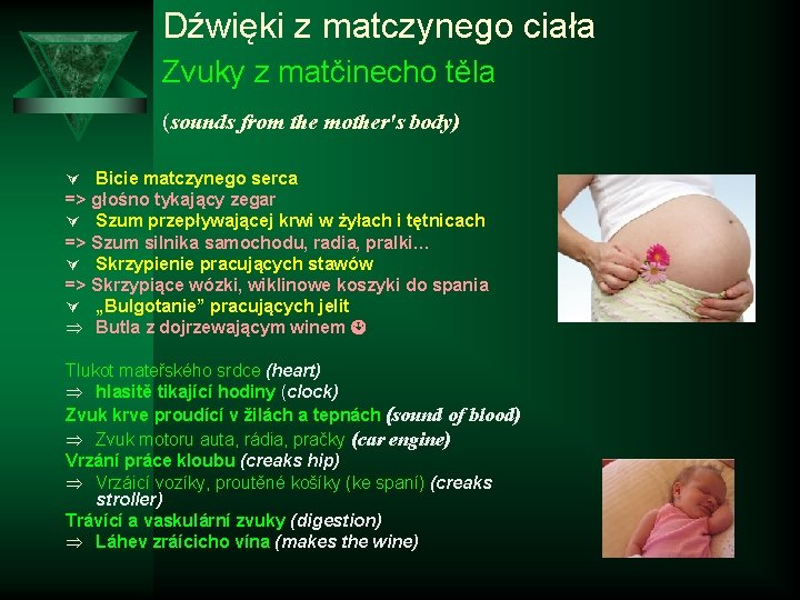 Dźwięki z matczynego ciała Zvuky z matčinecho těla (sounds from the mother's body) Ú