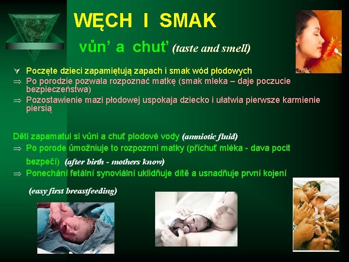 WĘCH I SMAK vůn’ a chuť (taste and smell) Ú Poczęte dzieci zapamiętują zapach