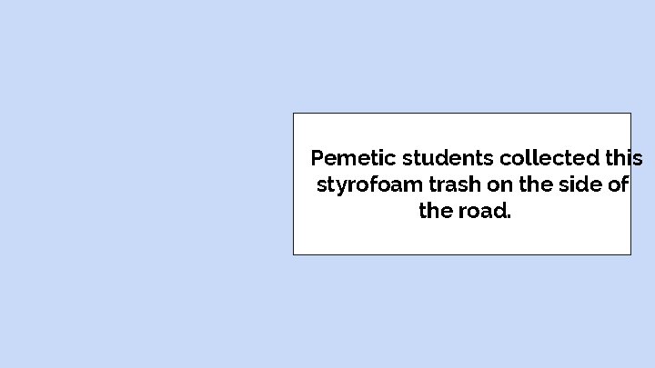 Pemetic students collected this styrofoam trash on the side of the road. 