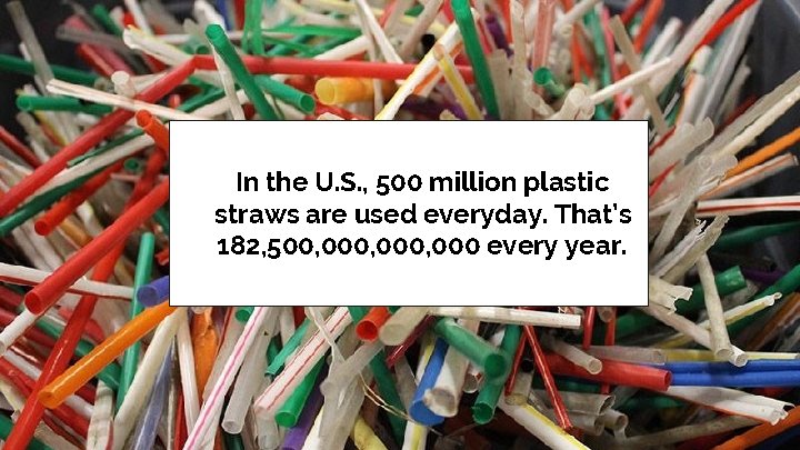 In the U. S. , 500 million plastic straws are used everyday. That’s 182,