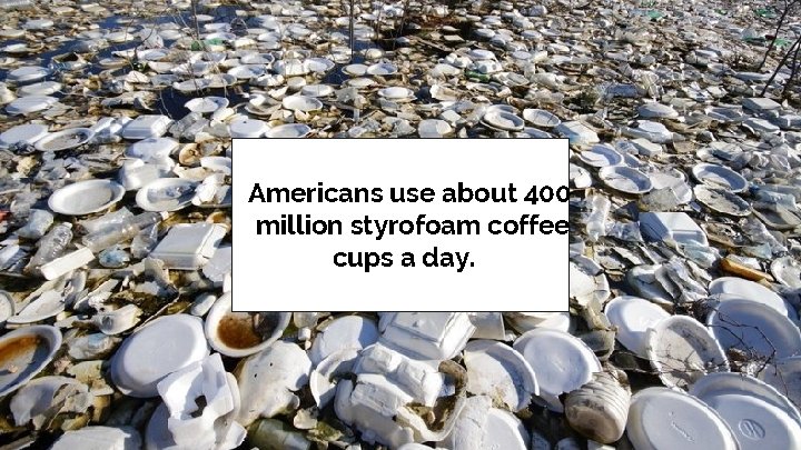 Americans use about 400 million styrofoam coffee cups a day. 