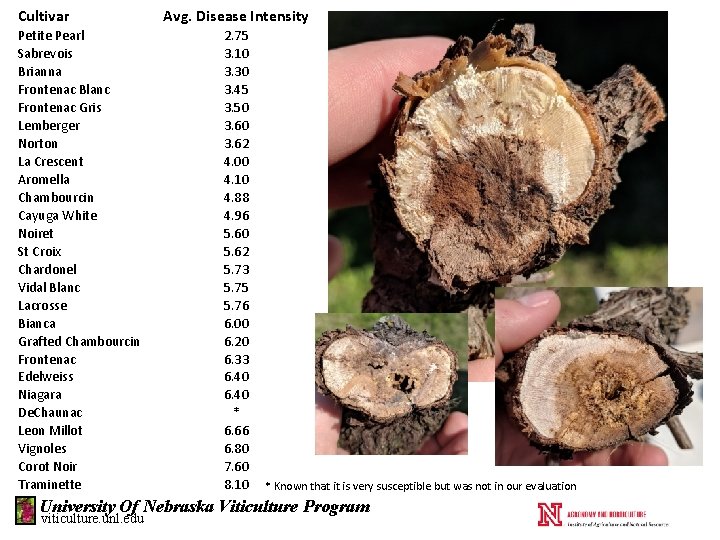 Cultivar Petite Pearl Sabrevois Brianna Frontenac Blanc Frontenac Gris Lemberger Norton La Crescent Aromella