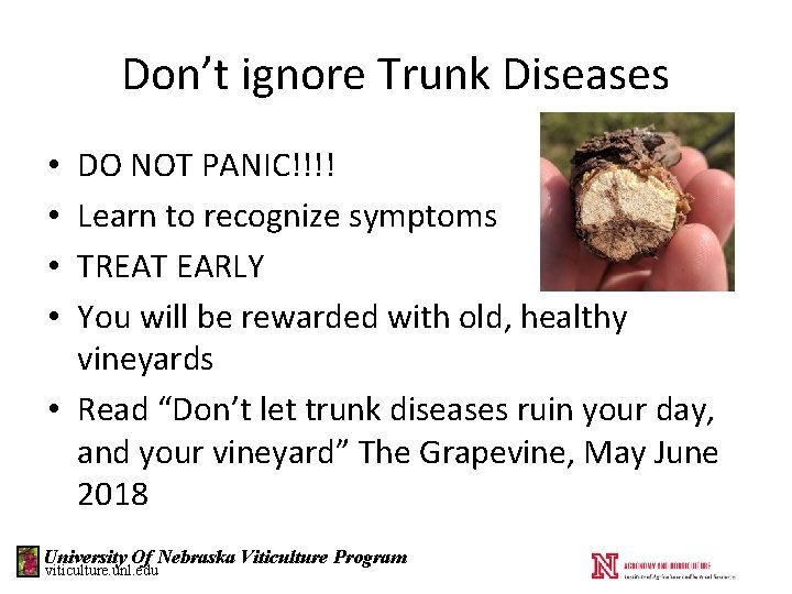 Don’t ignore Trunk Diseases DO NOT PANIC!!!! Learn to recognize symptoms TREAT EARLY You