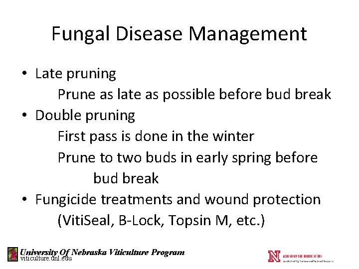 Fungal Disease Management • Late pruning Prune as late as possible before bud break