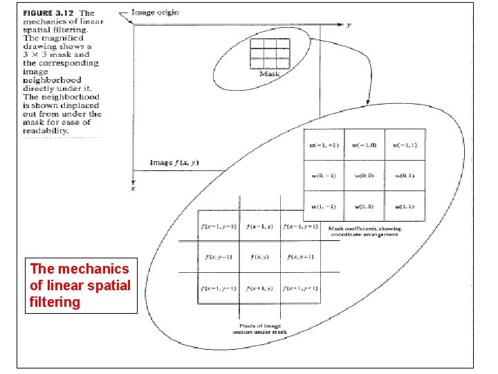 The mechanics of Spatial Filtering The mechanics of linear spatial filtering 