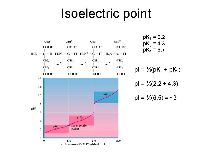 Isoelectric point p. K 1 = 2. 2 p. K 2 = 4. 3