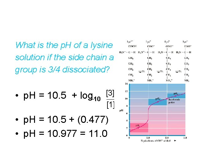 What is the p. H of a lysine solution if the side chain amino
