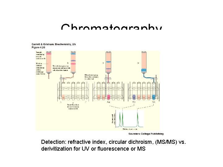 Chromatography Detection: refractive index, circular dichroism, (MS/MS) vs. derivitization for UV or fluorescence or