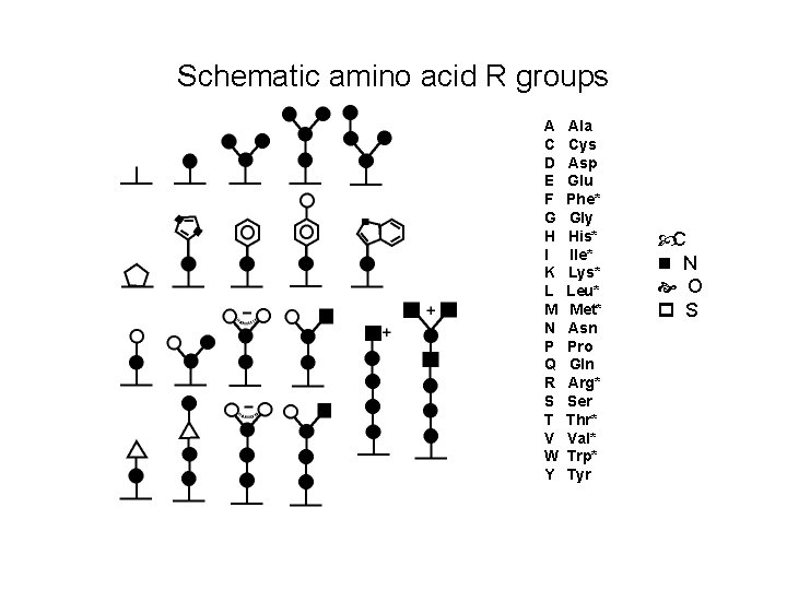 Schematic amino acid R groups A C D E F G H I K