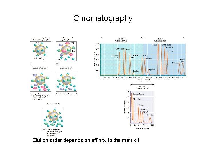 Chromatography Elution order depends on affinity to the matrix!! 