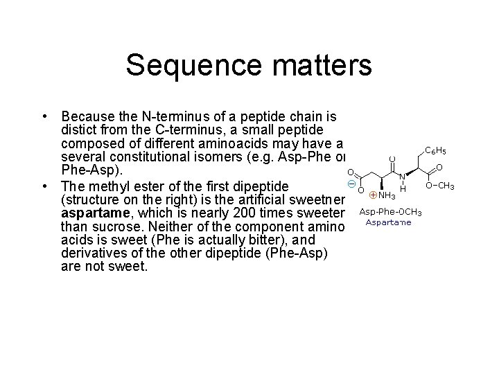 Sequence matters • Because the N-terminus of a peptide chain is distict from the
