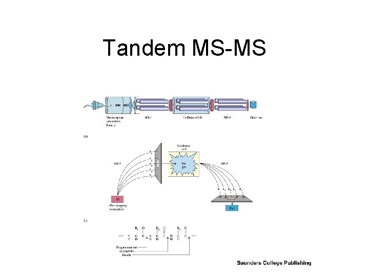 Tandem MS-MS 