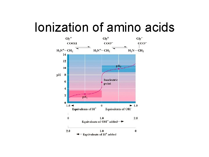 Ionization of amino acids 