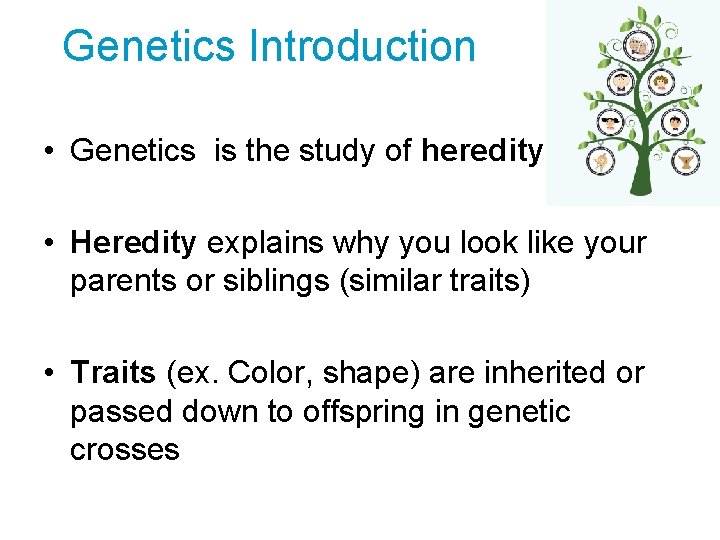 Genetics Introduction • Genetics is the study of heredity • Heredity explains why you