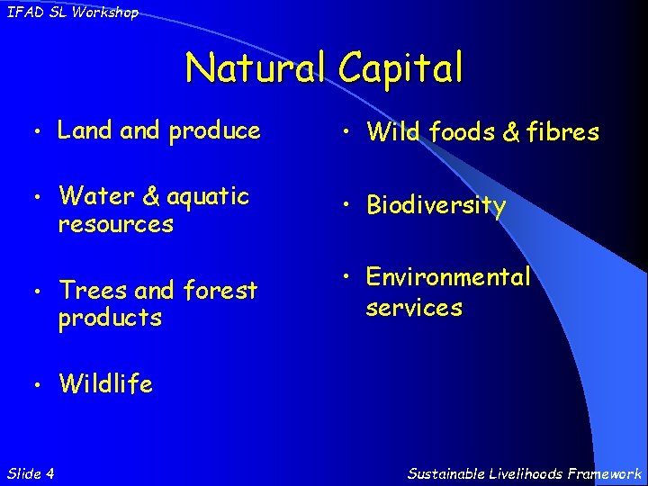 IFAD SL Workshop Natural Capital • Land produce • Wild foods & fibres •