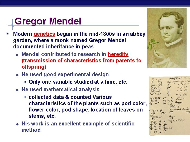 Gregor Mendel § Modern genetics began in the mid-1800 s in an abbey garden,