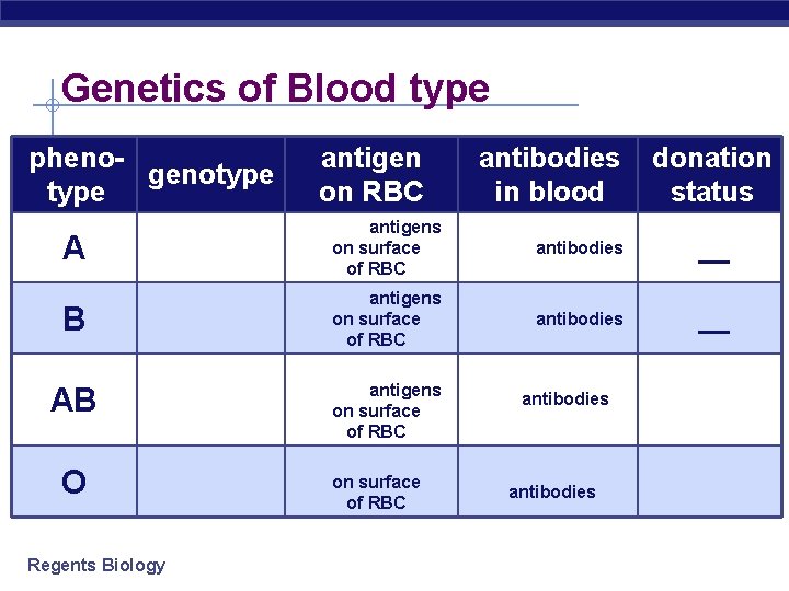 Genetics of Blood type phenogenotype A B antigen on RBC antibodies in blood donation