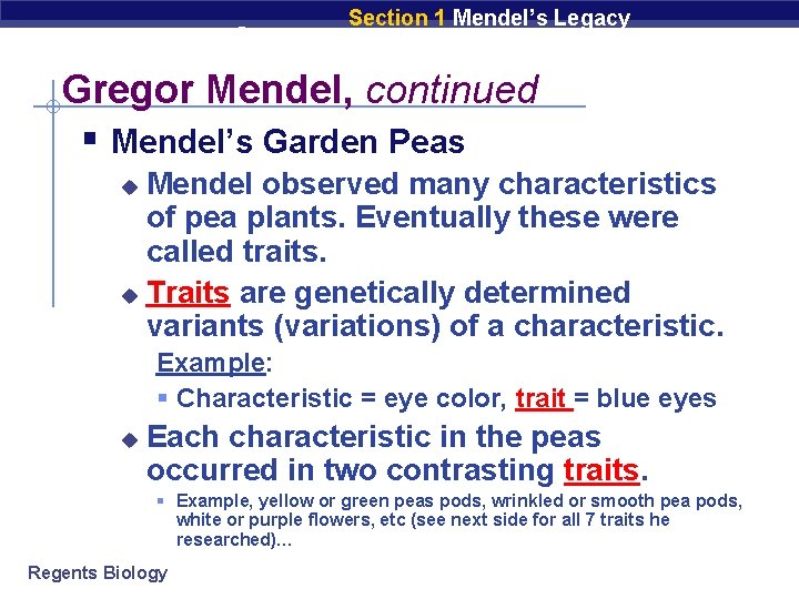 Chapter 9 Section 1 Mendel’s Legacy Gregor Mendel, continued § Mendel’s Garden Peas Mendel